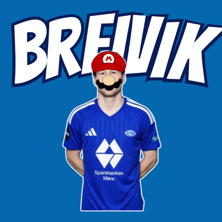 Molde Ramme Sticker